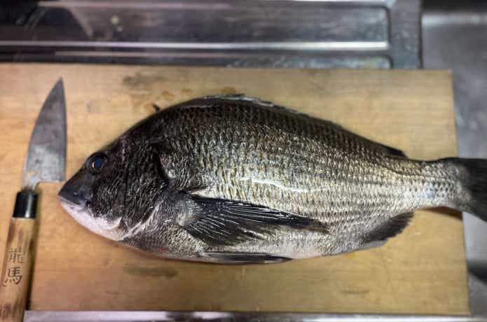 まな板の上の黒鯛