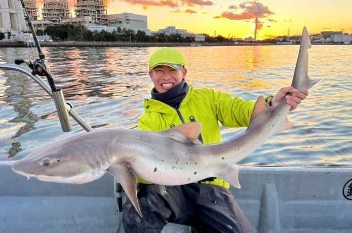 ベイシャーク　東京湾　ドチザメ釣り