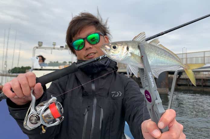 バチコンアジングの釣果