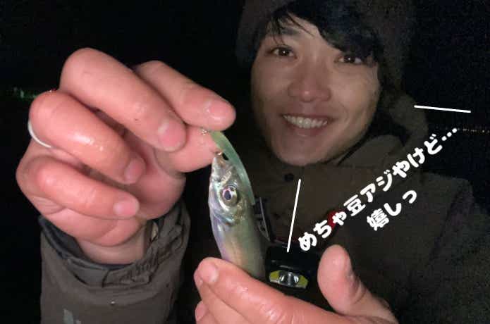 アジングで釣ったアジ