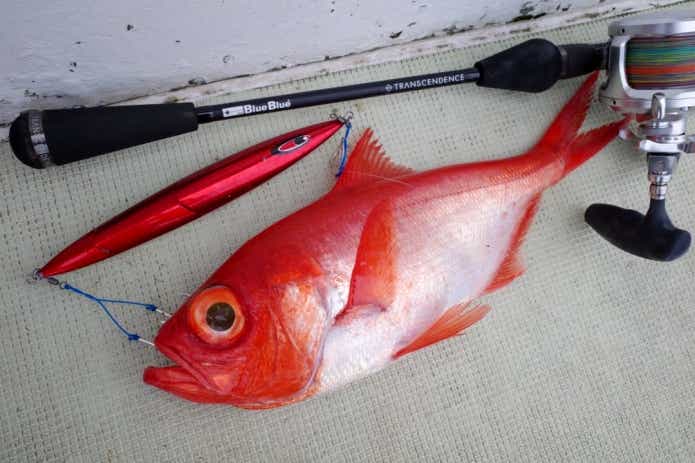 キンメダイ　釣り　ジギング　中深海
