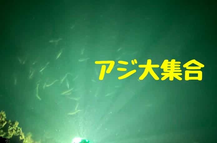 集魚灯アジングの効果を検証してみた！光とアジの興味深い関係を発見 | 【TSURI HACK】日本最大級の釣りマガジン - 釣りハック