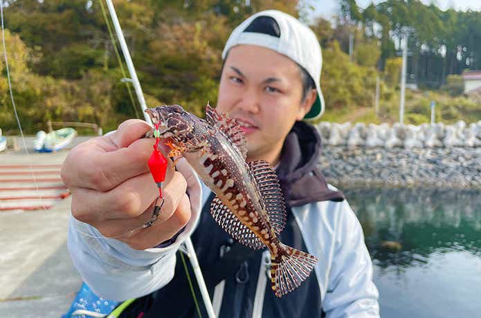 お魚ガブッちょとアナハゼ