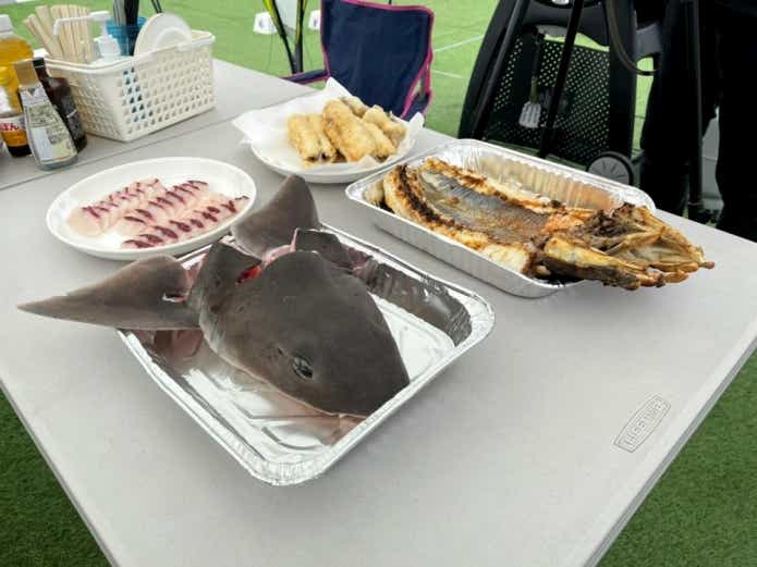 ドチザメ 味