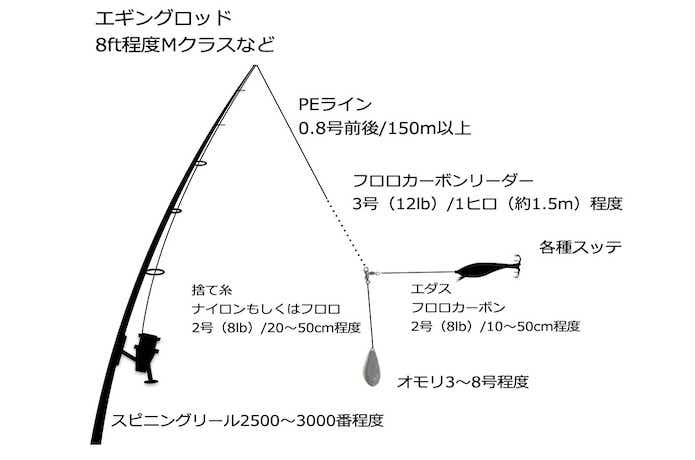 コウイカの仕掛け図の画像