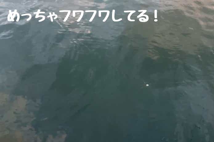 海中の船メバルサビキ
