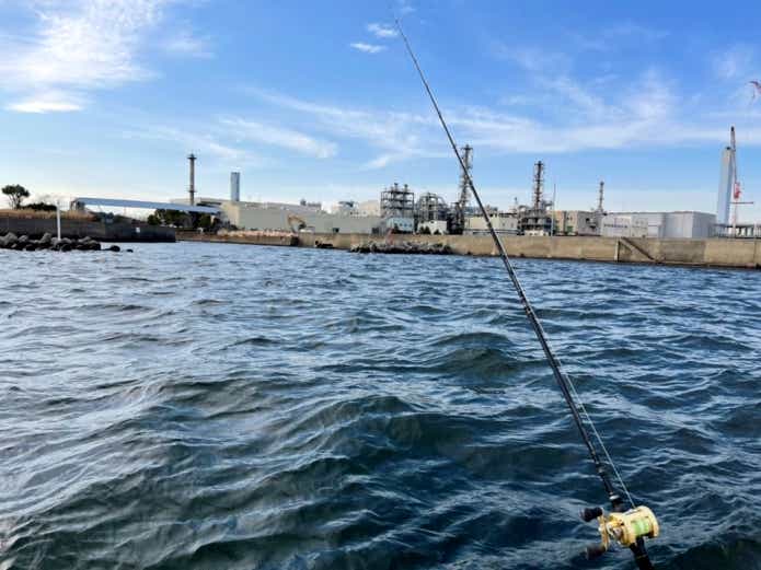 東京湾 サメ釣り エサ