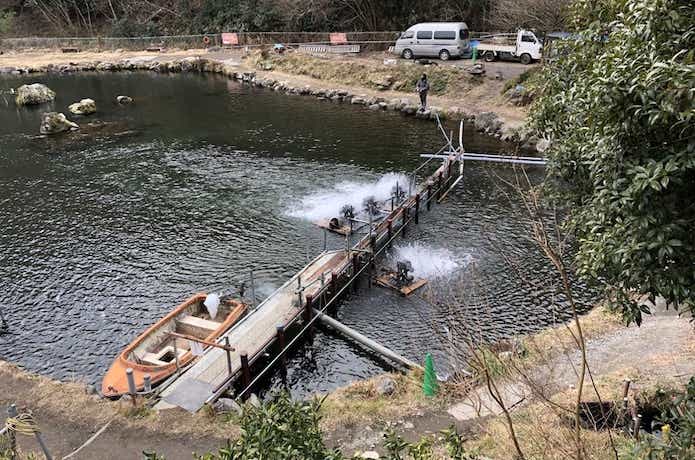 浅川国際マス釣場　変化に富んだポンド