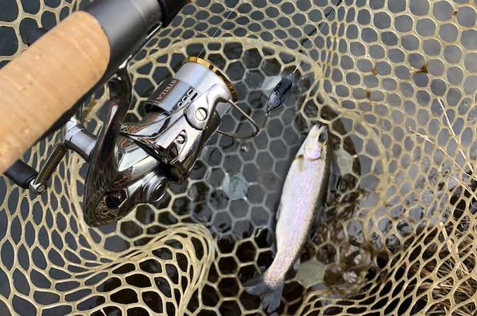 浅川国際マス釣場　レポートまとめ