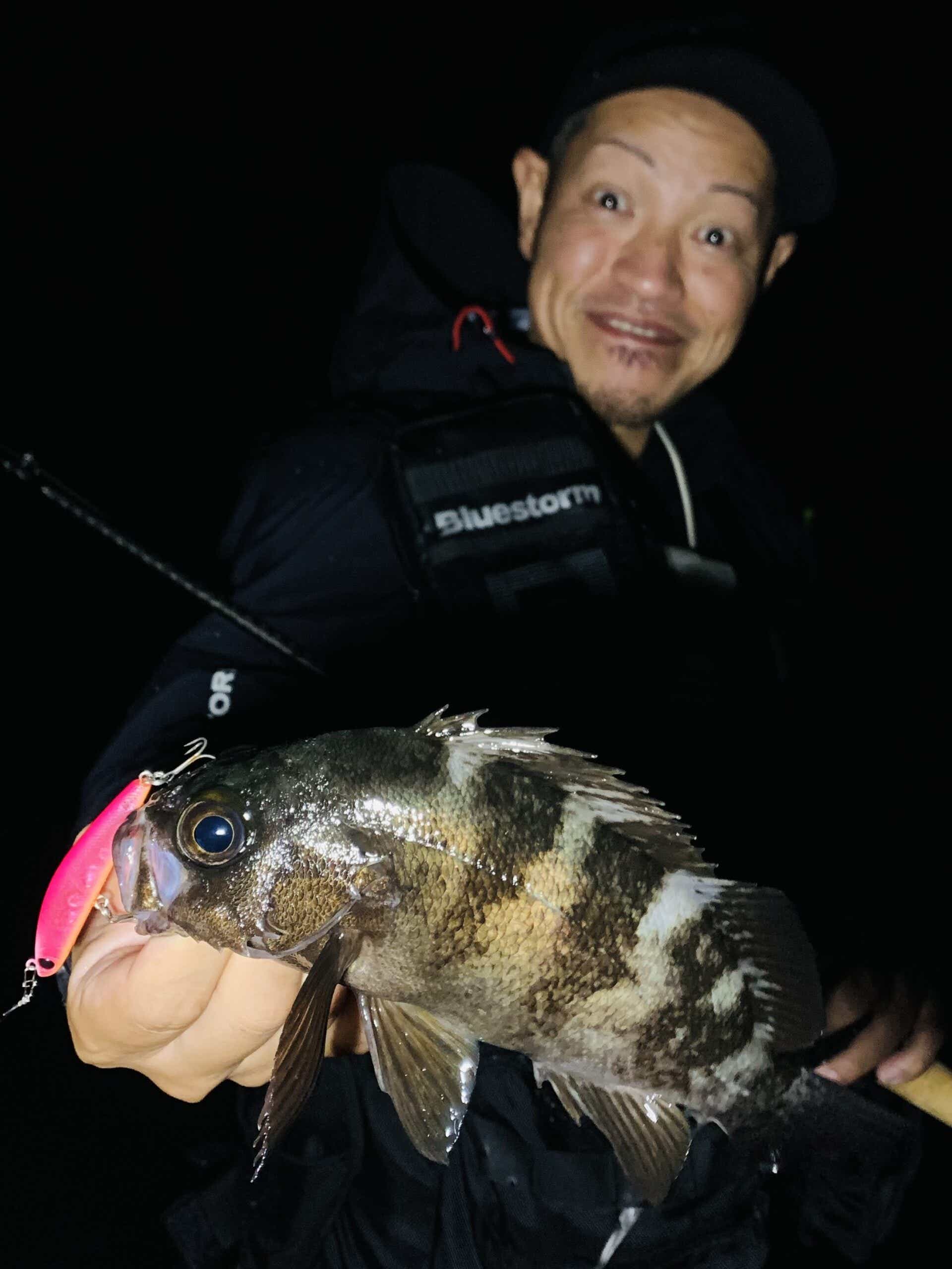 メバルの釣果写真