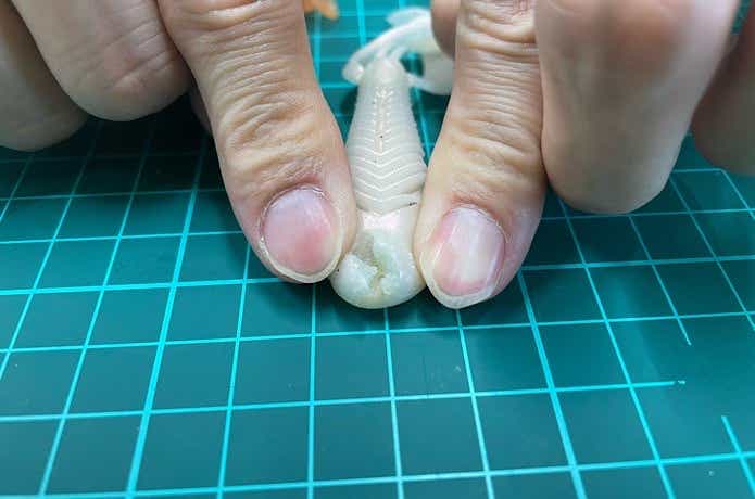 裂けたワーム
