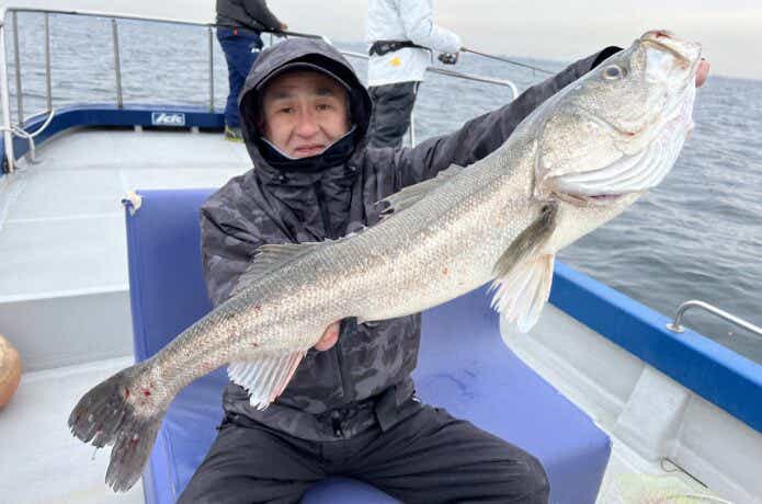 ジギングで釣れたシーバス