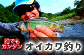 オイカワ釣りを超わかりやすく解説！釣れる場所の探し方や時期、仕掛けやおすすめのエサまで