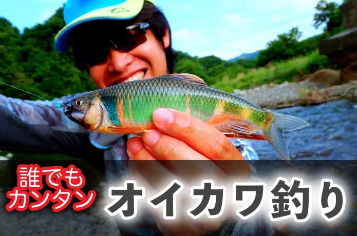 オイカワの釣り方講座！釣れる場所の探し方や時期、仕掛けやおすすめのエサまで | TSURI HACK[釣りハック]