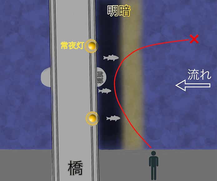 明暗シーバスの流し方（アップクロス）