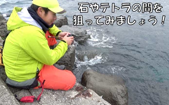 穴釣りの釣り方