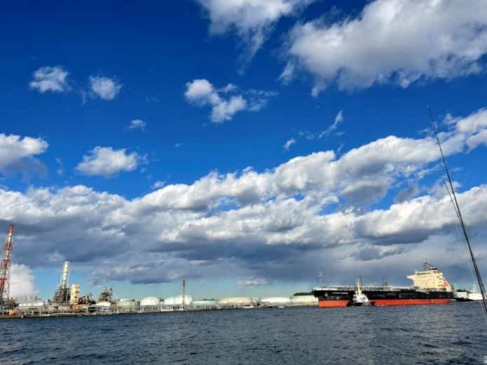 東京湾 サメ 釣り