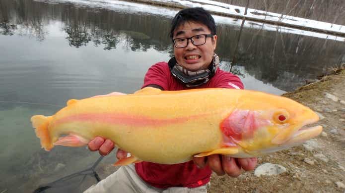 真冬の管理釣り場
