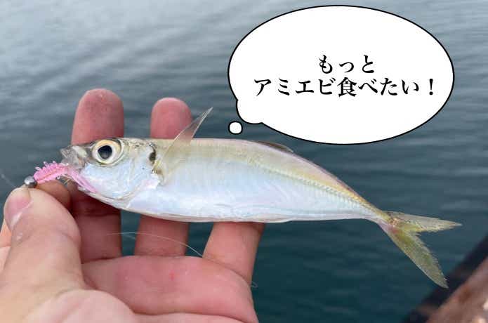 ワームで釣れたアジ