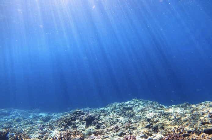 海底