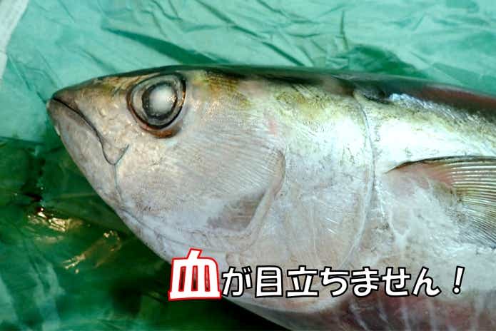 グリーンパーチ紙が魚の熟成に向いている理由