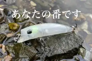 DUOフラフラの単体写真