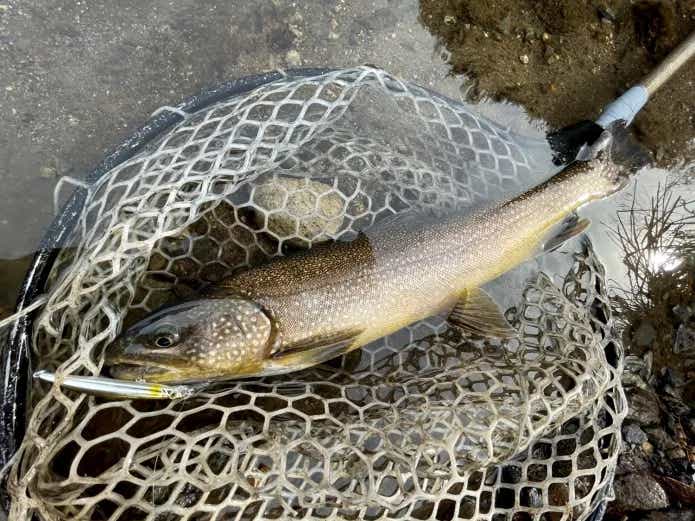 冬の管理釣り場巡り