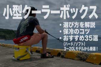 小型クーラーボックスおすすめ35選！釣りやアウトドアだけではない超万能アイテムを解説