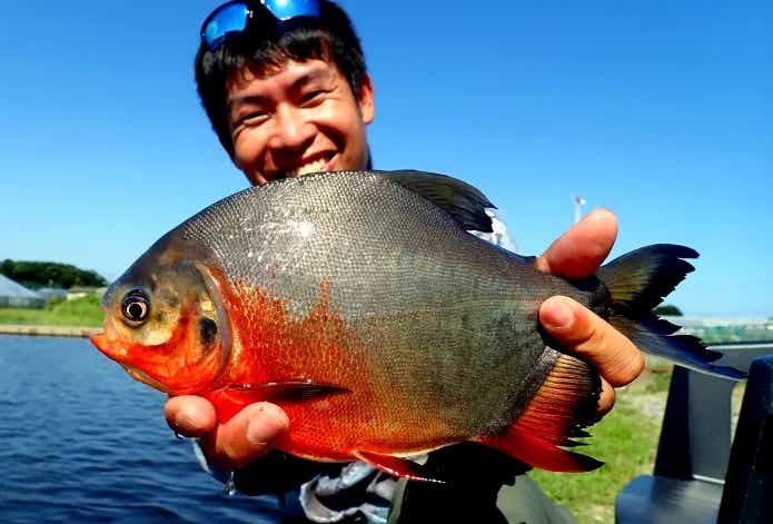管理釣り場巡り