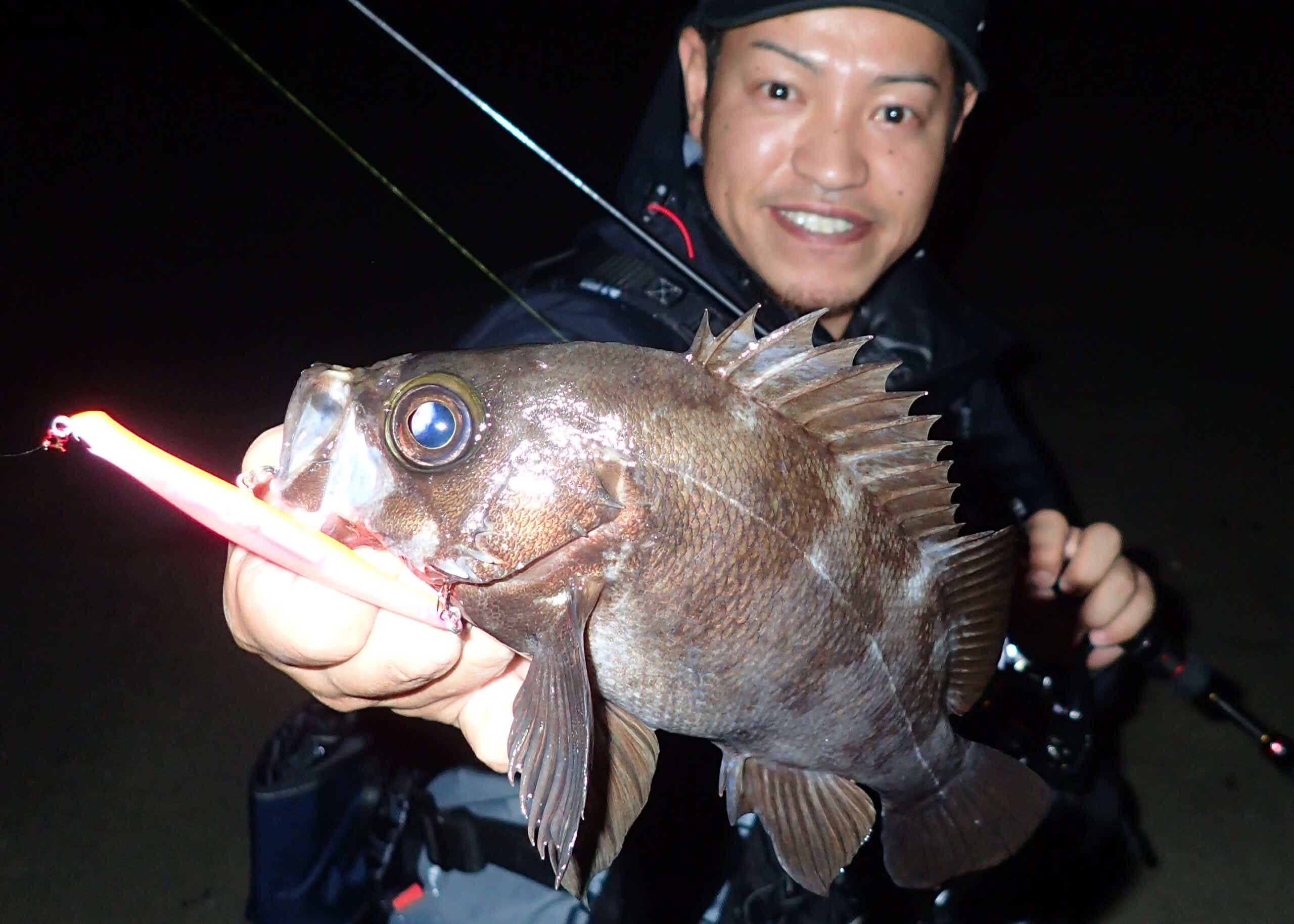 メバルの釣果写真