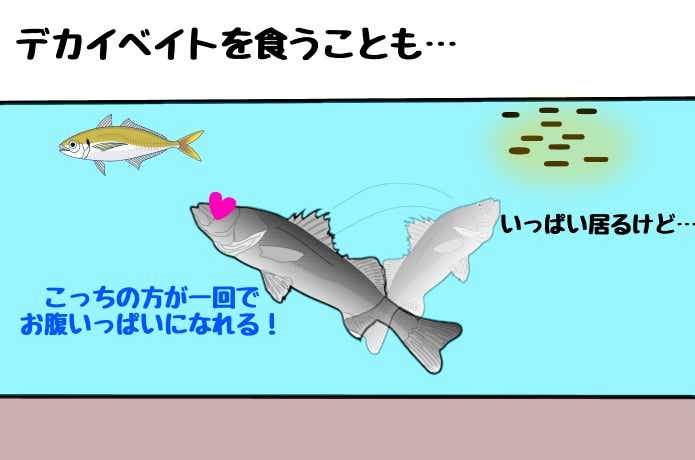 戻りシーバスの行動