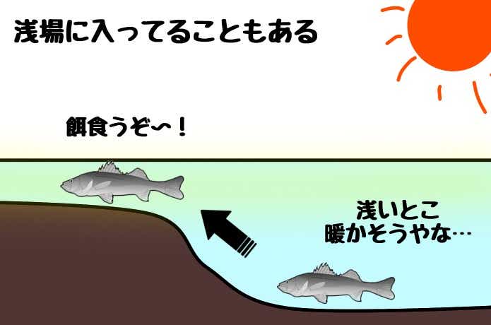 晴れた日のシャロー