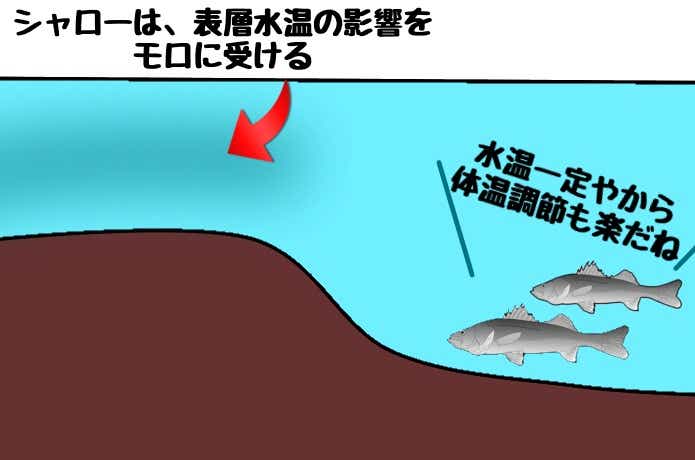 戻りシーバスの動き