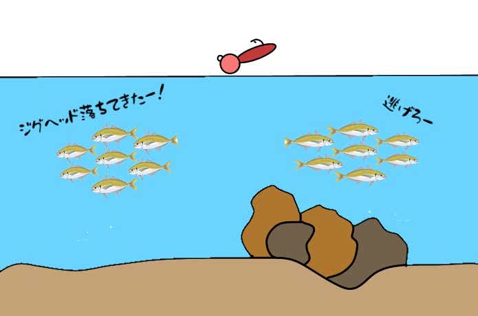 豆アジへのアプローチ