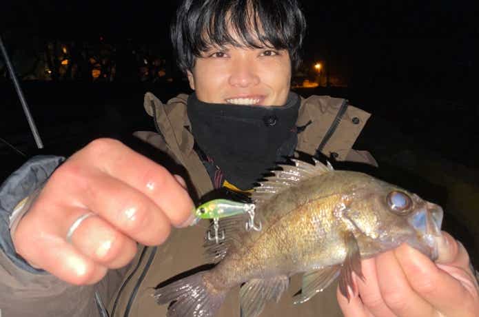 リッジで釣ったメバル
