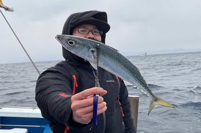 寒サバの釣果