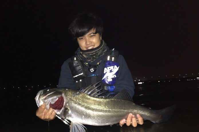 戻りシーバスの釣果
