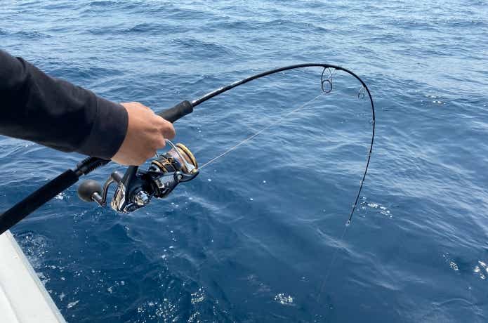 ダイワのアウトレイジ