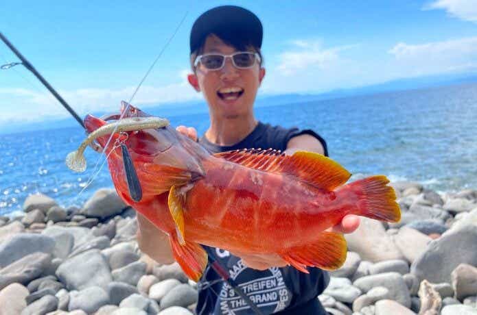 エコギア バルトで釣ったアカハタ