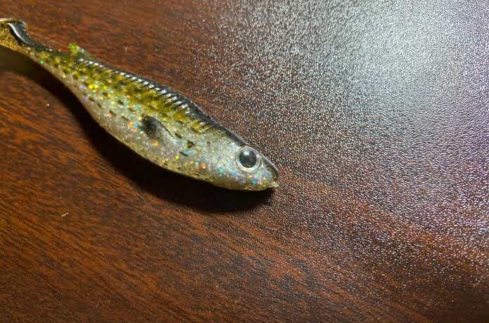 エコギア バルトの顔