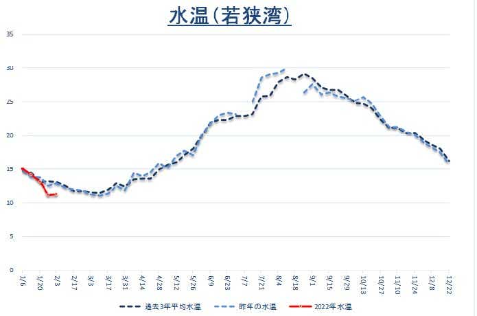 年間の水温