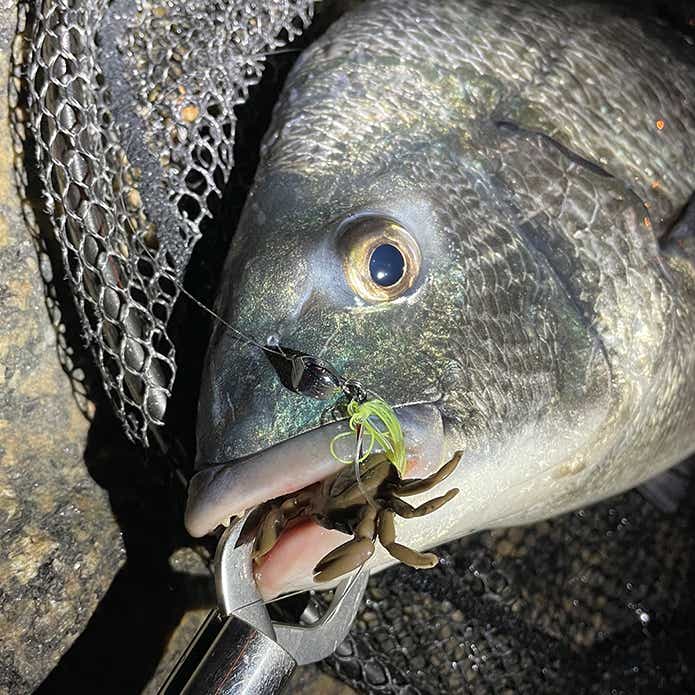 isseiの根魚玉