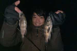 船メバルサビキで釣ったメバル