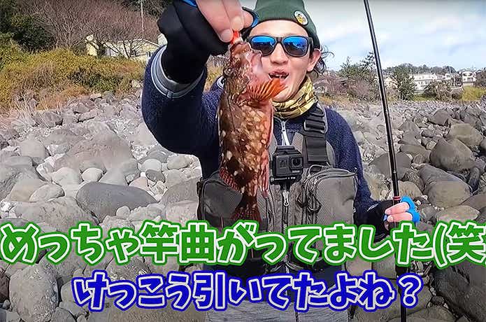 イカ餌の直リグで釣ったカサゴ