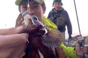イカ餌の直リグで釣ったムラソイ