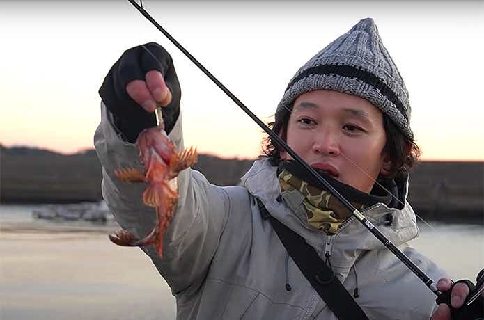 ライトゲームで釣れたカサゴ