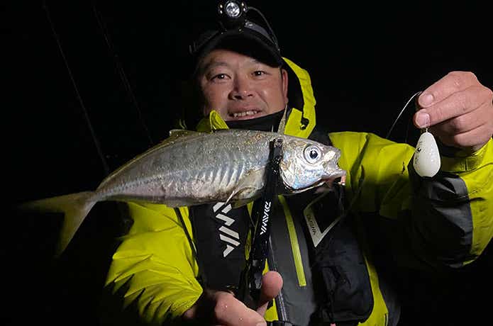 サーフで釣れた良型のアジ