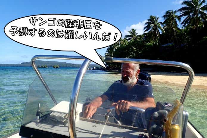 産後の産卵日を予想するのは難しい！