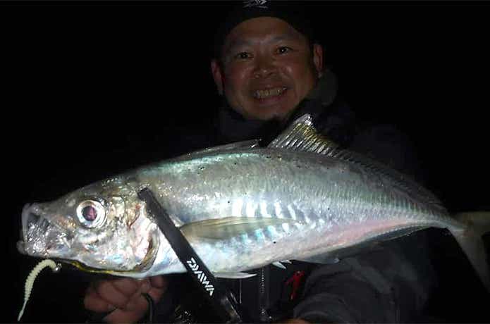 渡邉さんが釣った40upのアジ