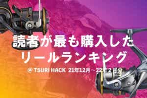 リールランキング